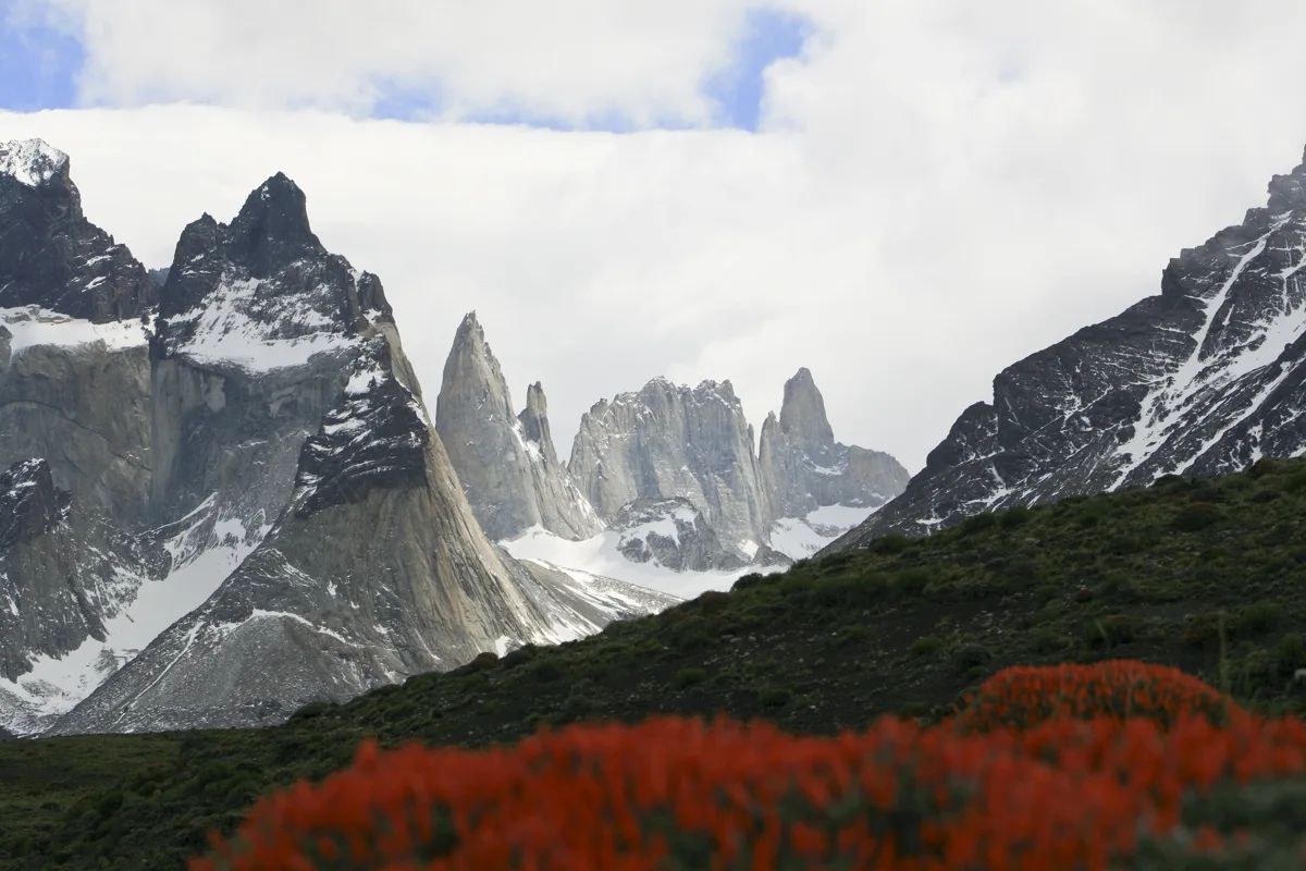 Cuernos y Torres del Paine